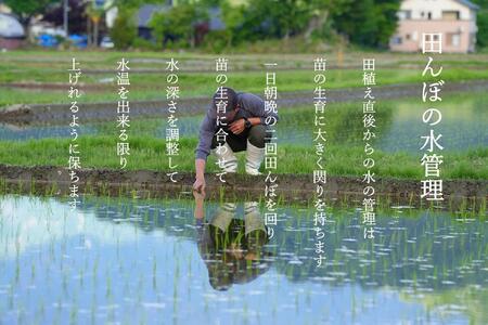 新米 令和5年産】【定期便】南魚沼 塩沢産コシヒカリ５kg×6回【隔月お