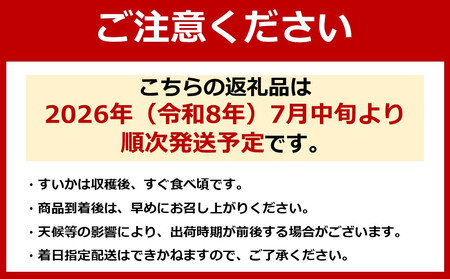 先行予約【新潟県南魚沼産】八色原スイカ 小玉２玉【2026年7月中旬発送】【お届け日時指定不可】