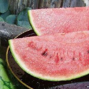 先行予約【新潟県南魚沼産】八色原スイカ 小玉２玉【2026年7月中旬発送】【お届け日時指定不可】