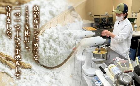 グルテンフリー 米粉 玄米粉 ドーナツ 5種 20個セット ショコラ メープルアーモンド チーズ 桑茶あずき 黒ごま ドーナッツ スイーツ おやつ 冷凍 ギフト コパフーズ 送料無料 新潟県 南魚沼市