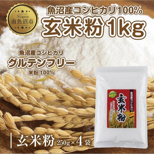 玄米粉 250g×4袋 計1kg 魚沼産 コシヒカリ 玄米 白米粉 グルテンフリー 小麦不使用 GABA アレルギー お取り寄せ パン ケーキ 菓子 ギフト 送料無料 コパフーズ 新潟県 南魚沼市