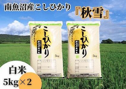 令和5年産 新米 全9回定期便】南魚沼産コシヒカリ「秋雪」白米10kg