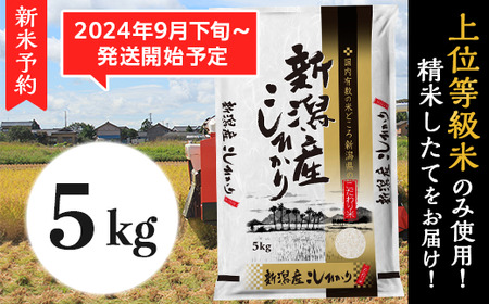 K51新潟県産コシヒカリ5kg