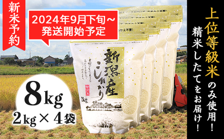K81新潟県産コシヒカリ8kg（2kg×4袋）