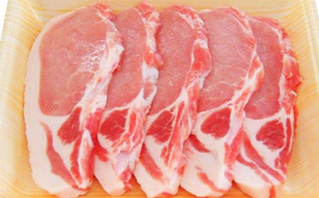 0196　新潟県胎内市産豚肉　ロースかつ用　1.5kg（100ｇ×15枚）