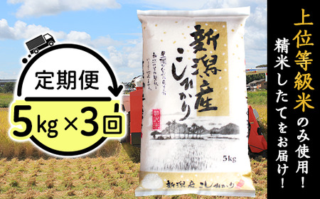 K53【3ヶ月連続お届け】新潟県産コシヒカリ5kg