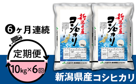 23-K106R5【6ヶ月連続お届け】新潟県中条産コシヒカリ10kg（5kg×2袋）
