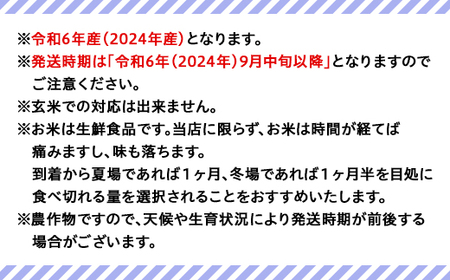 16-M10Z【12ヶ月連続お届け】新潟県胎内市産コシヒカリ【無洗米】10kg（5kg×2袋）