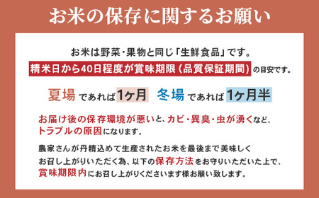 16-I106【6ヶ月連続お届け】新潟県胎内市産こしいぶき10kg(5kg×2袋)