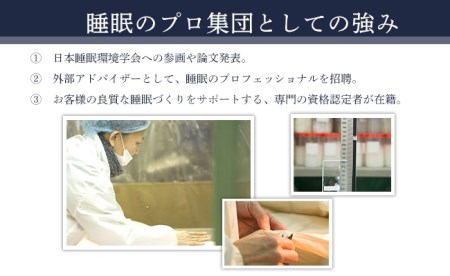 SW-12エクセルゴールドダウンケット【シングル／ワイン系】（日本製）