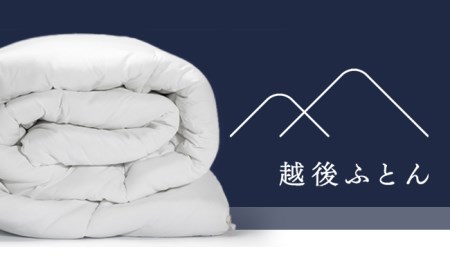 SW-12エクセルゴールドダウンケット【シングル／ワイン系】（日本製）