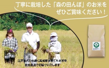 新潟県胎内産コシヒカリ10kg（森の田んぼ）