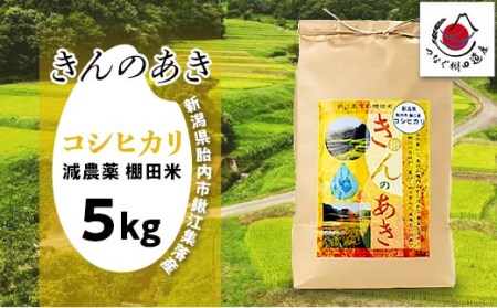 【減農薬】胎内市鍬江集落産棚田米きんのあき（コシヒカリ）5kg