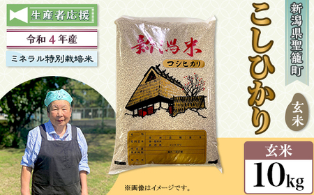 令和4年度産　新潟こしひかり　10kg(5kg×2袋)　特別栽培米