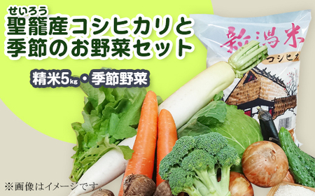 【令和2年産】新潟県聖籠産米・季節野菜セット