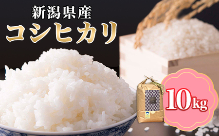 コシヒカリ精米10㎏【金助農業株式会社】