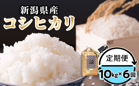 定期便6ヶ月コシヒカリ精米10㎏【金助農業株式会社】
