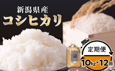 定期便12ヶ月コシヒカリ精米10㎏【金助農業株式会社】