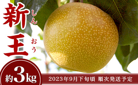 【数量限定】聖籠産梨「新王」