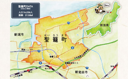 サトウのごはん 新潟県産コシヒカリ 200g×20個