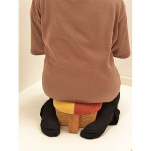 正座椅子　柄:Aタイプ_正座椅子 チェア 座椅子 座敷椅子 おしゃれ かわいい_【1435193】