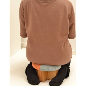 正座椅子　柄:Dタイプ_正座椅子 チェア 座椅子 座敷椅子 おしゃれ かわいい_【1435221】