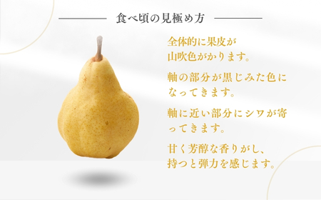 弥彦産「西洋なしの貴婦人」ルレクチエ　5～7玉(2kg) 新潟県 弥彦村_ルレクチェ ル・レクチェ 西洋梨 なし 2kg_【配送不可地域：離島・北海道・沖縄県・中国・四国・九州】【1131641】