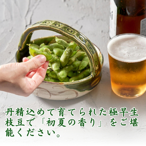 【令和8年産 先行予約】 弥彦村産 弥彦むすめ 枝付き枝豆 2把(約1kg) | 枝豆 新潟県