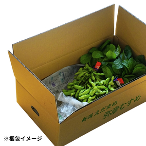 【令和8年産 先行予約】 弥彦村産 弥彦むすめ 枝付き枝豆 2把(約1kg) | 枝豆 新潟県