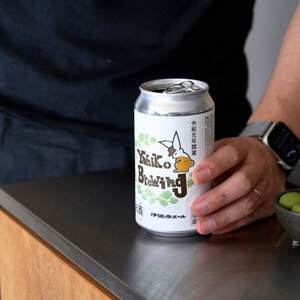 弥彦ブリューイング クラフトビール(発泡酒) 伊彌彦エール(缶・無濾過生) 355ml×12本セット_生ビール 地ビール 缶ビール 発泡酒 お酒 弥彦村初のクラフトビール_【配送不可地域：離島】【1486079】