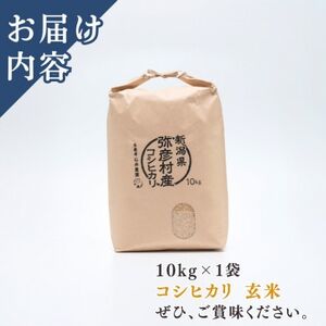 新潟県弥彦村石井農園 令和7年産コシヒカリ【玄米 10kg】_新潟産コシヒカリ_【1508846】