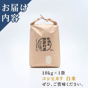 新潟県弥彦村石井農園 令和7年産コシヒカリ【白米 10kg】_新潟産コシヒカリ_【1508847】