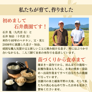 新県弥彦村石井農園 令和7年産コシヒカリ 食べ比べセット＜白米5kg･玄米5キロ＞ | コシヒカリ