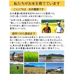 熟成3日 発芽玄米ご飯 パックご飯 6個(3パック×2セット) コシヒカリで作った酵素玄米_パックごはん パック 発芽玄米 コシヒカリ_【1497864】