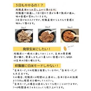 お家で簡単!【 熟成玄米ご飯(酵素玄米) 】手作りセット　3合パック×6個　新潟県弥彦村産コシヒカリ_新潟県弥彦村産コシヒカリ 玄米ご飯 酵素玄米 お家で簡単！_【1522132】
