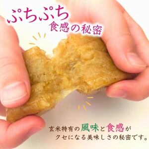 ぷちぷち食感がたまらない「発芽玄米餅」 2袋 新潟県弥彦村産「こがねもち」100%使用【1554472】