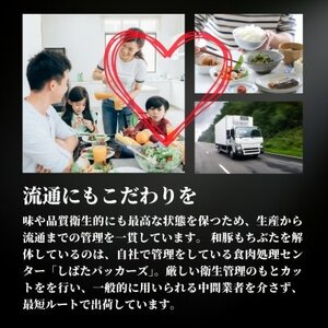 越後もちぶたロース薄切り1kg(500g×2パック)【配送不可地域:離島】【1595585】