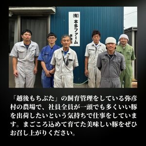 越後もちぶたこま切れ肉3kg(300g×10パック)【配送不可地域：離島】【1595588】