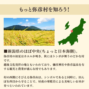 新潟県弥彦村石井農園 令和7年産 こがねもち<玄米 10kg> | こがねもち