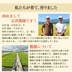 新潟県弥彦村石井農園 令和7年産 こがねもち＜玄米 5kg＞ | こがねもち
