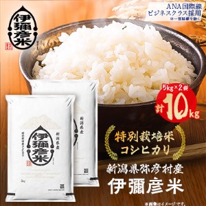 令和5年産 新潟県産 特別栽培米 コシヒカリ 「伊彌彦米」 10kg【1006486】