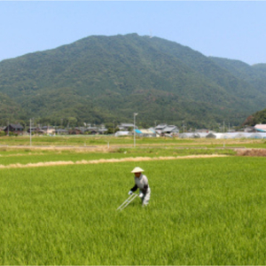 栗原はるみ Wフライヤー16cm＜ガス・IH対応＞揚げ鍋 オイルポット 濾しアミ付き 新潟県 弥彦村_網 あみ 目盛り付き キッチン用品 調理器具 揚げ鍋セット 天ぷら鍋セット
