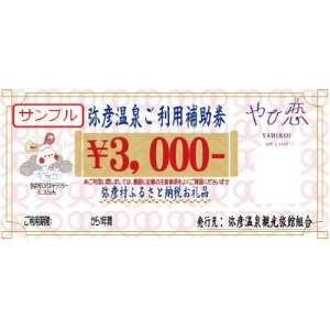 弥彦温泉ご利用補助券　3,000円分【1223075】