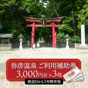 弥彦温泉ご利用補助券　3,000円分【3枚】【1296026】