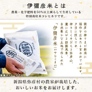 令和5年産 皇室献上米「伊彌彦米」(2018年皇室献上米)10kg(5kg×2袋