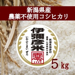 令和5年産 新潟県産 栽培期間中農薬不使用 コシヒカリ 「伊彌彦米 零