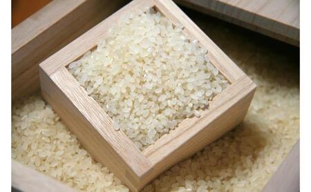 桐米びつ10kg 国産 日本製 収納 米櫃