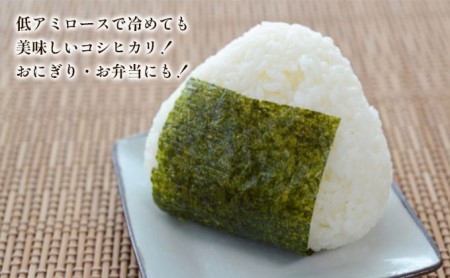 【玄米】新潟なんかんコシヒカリ5kg