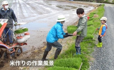 【玄米】新潟なんかんコシヒカリ5kg
