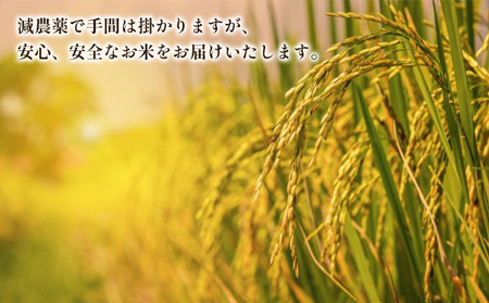 【玄米】新潟なんかんコシヒカリ10kg